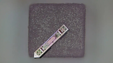 قدرت خواندن ذهن از طریق یک دانه نمک!