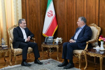 دیدار و گفتگوی رئیس اتاق ایران با عراقچی؛ تاکید بر تقویت بخش خصوصی