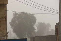 وزش باد شدید و گردوخاک در راه یزد؛ هشدار سطح زرد هواشناسی صادر شد