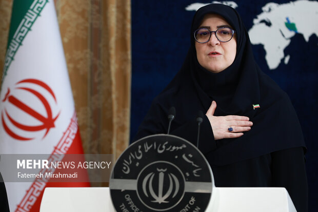 نشست خبری سخنگوی دولت 3