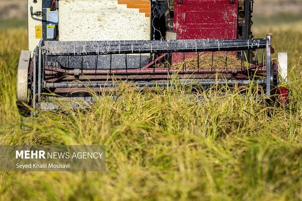 دریاچه ارومیه کمتر از ۴۰میلیون مترمکعب آب دارد؛ دولت ریالی بودجه نداد