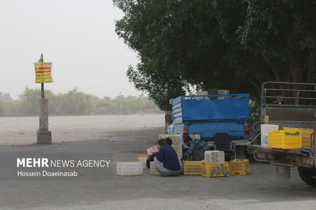 گرد وغبار در توکهور و هشتبندی