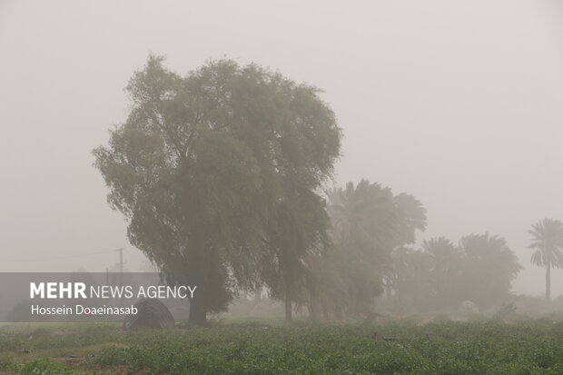 گرد وغبار در توکهور و هشتبندی