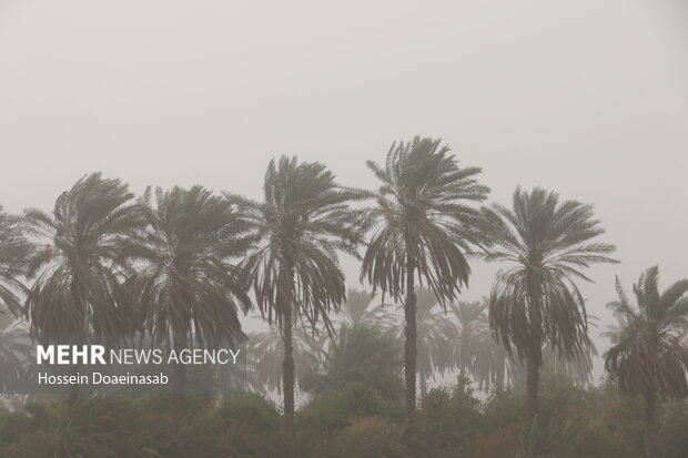 گرد وغبار در توکهور و هشتبندی