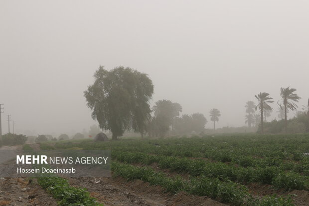 گرد وغبار در توکهور و هشتبندی