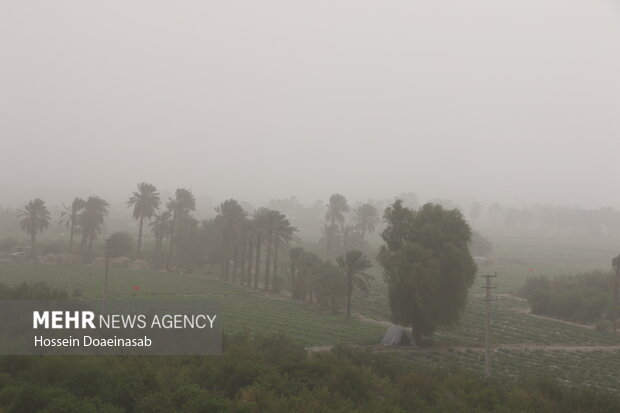 گرد وغبار در توکهور و هشتبندی