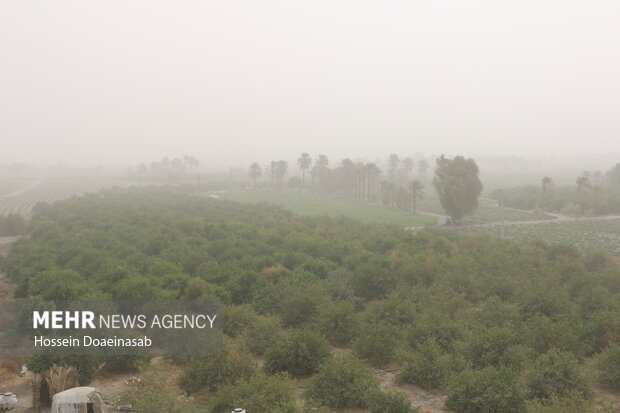 گرد وغبار در توکهور و هشتبندی