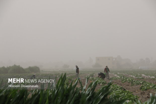 گرد وغبار در توکهور و هشتبندی