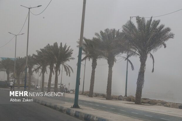 چتر گرد و خاک بر سر بندرعباس