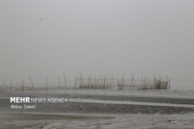 چتر گرد و خاک بر سر بندرعباس