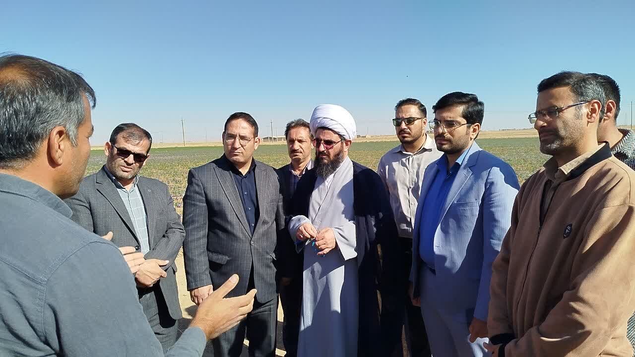 زعفران؛ الگوی کشت کمآببر و اشتغالزا در شهرستان فامنین زعفران؛ الگوی کشت کمآببر و اشتغالزا در شهرستان فامنین