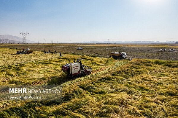 ضرورت همکاری ملی برای نجات کشاورزی در آذربایجان شرقی؛کم آبی جدی است