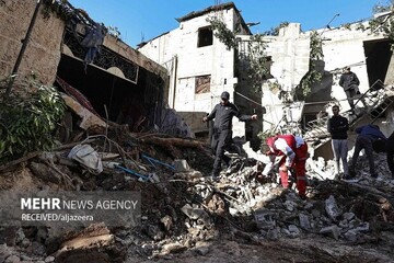 الغارديان: الكيان الصهيوني قتل 4000 جنين فلسطيني بصاروخ واحد