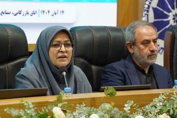 انصاری: شورای ملی حکمرانی کیفیت در کشور تشکیل می شود