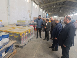 نظارت قضائی بر انبارهای گمرک سمنان؛ ضرورت تسریع در ترخیص کالاهای اساسی