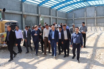 زارع: اعتبار پروژه‌های مدرسه‌سازی استان بوشهر تأمین می‌شود