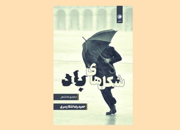 رویکردم به کتاب شعر، پروژه‌ای شده؛ «شکل‌های باد» گزیده 200 شعر کوتاه 2