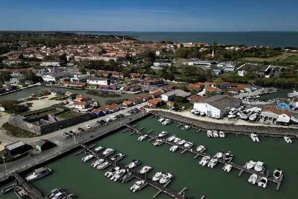 Driver rams into pedestrians in western France, nine injured