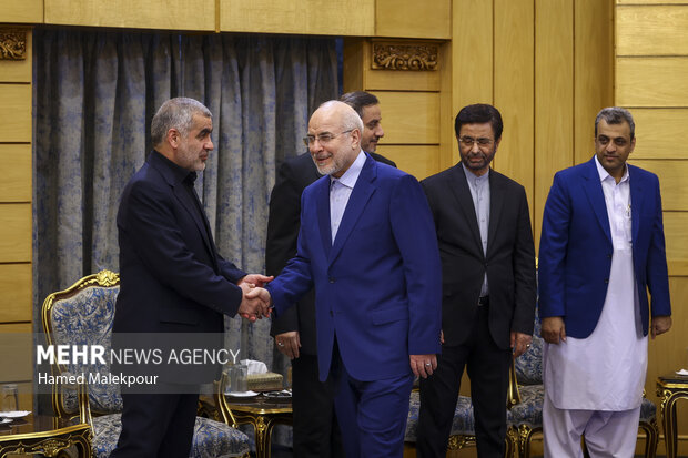 بدرقه رسمی رئیس مجلس به پاکستان