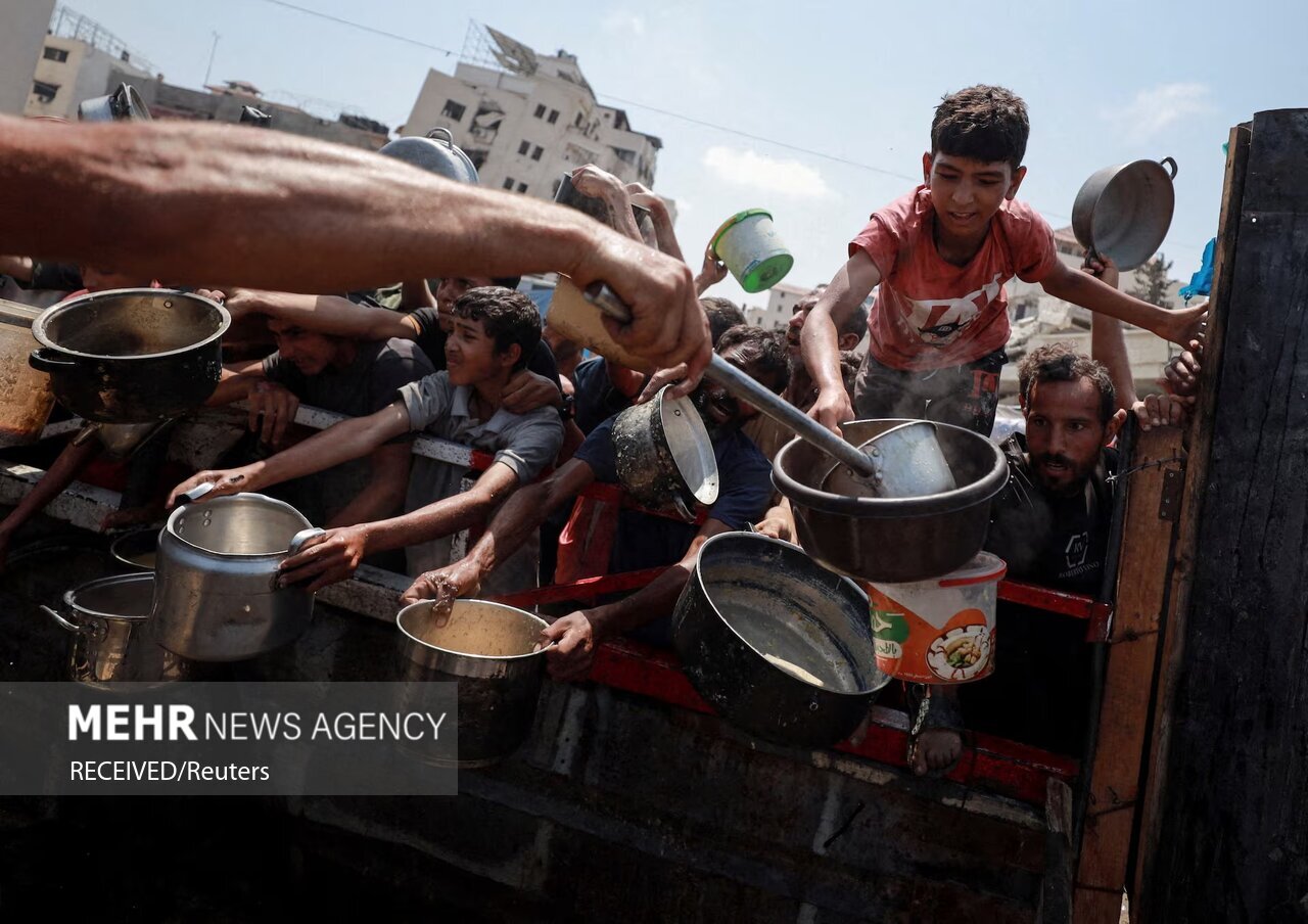 شركت،غذايي،مواد،دلار،كشاورزي،بازار،جهاني،افزايش،برتر،بحران،آ ...