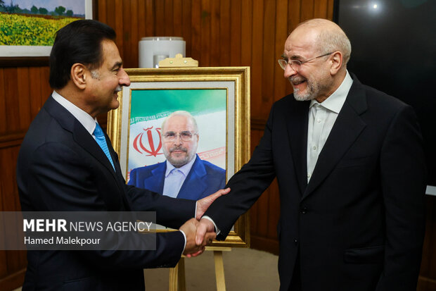 اولین روز سفر رئیس مجلس به کشور پاکستان