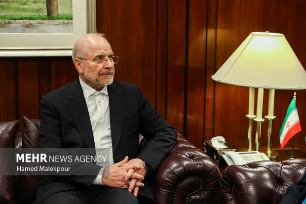 اولین روز سفر رئیس مجلس به کشور پاکستان