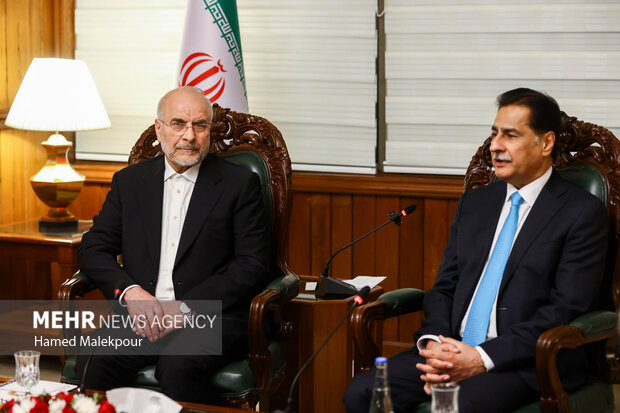 اولین روز سفر رئیس مجلس به کشور پاکستان