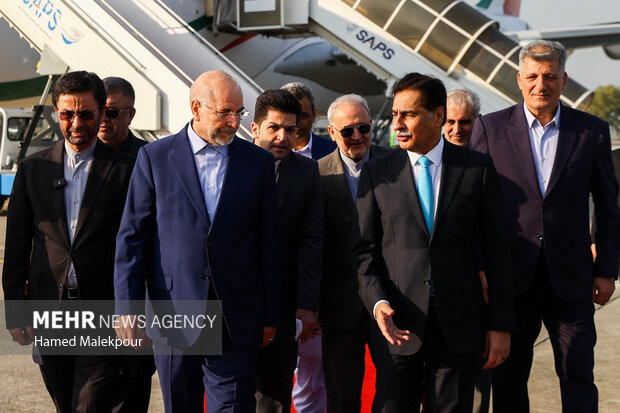 اولین روز سفر رئیس مجلس به کشور پاکستان