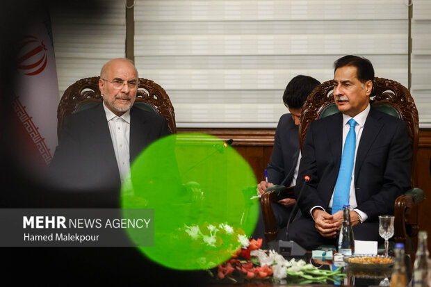 اولین روز سفر رئیس مجلس به کشور پاکستان