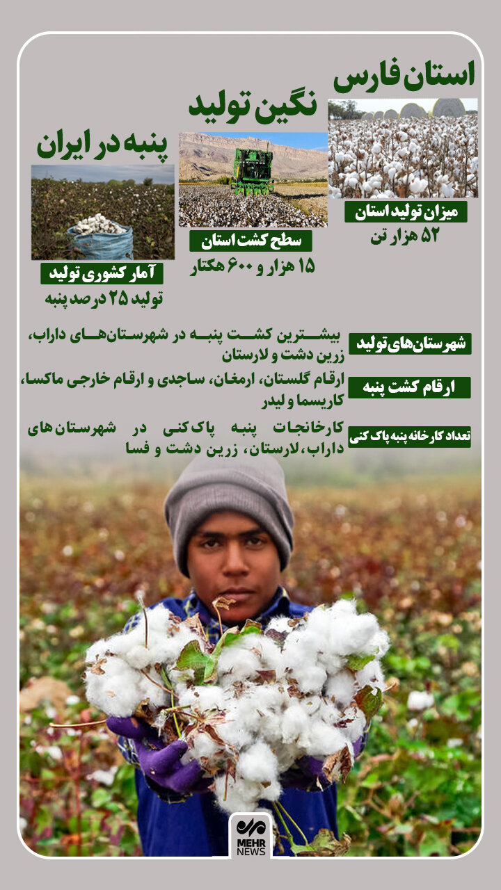اینفوگرافیک؛ فارس نگین تولید پنبه در ایران