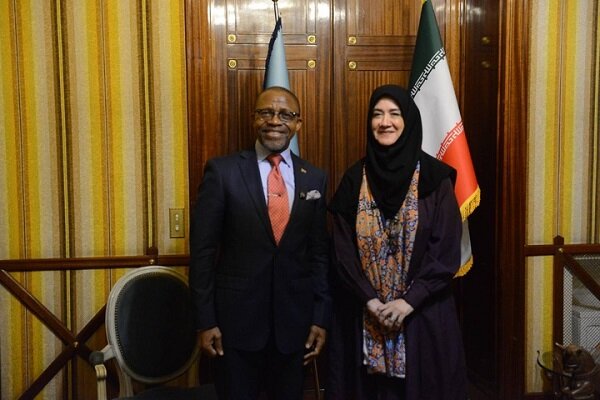 دستي،صنايع،مشترك،آفريقاي،سفير،تبادل،جنوبي