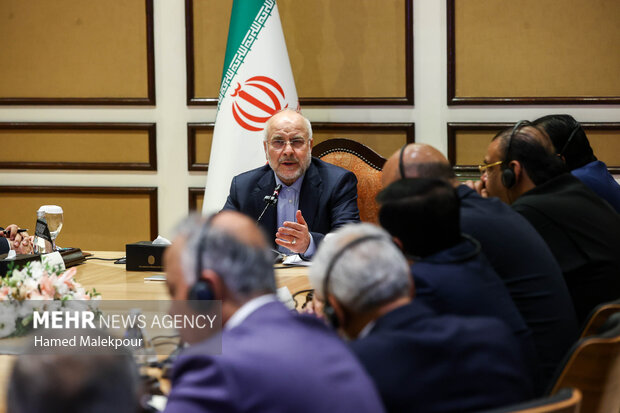 دومین روز سفر رئیس مجلس به کشور پاکستان 12