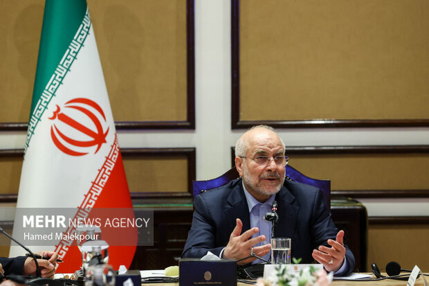 دومین روز سفر رئیس مجلس به کشور پاکستان 13