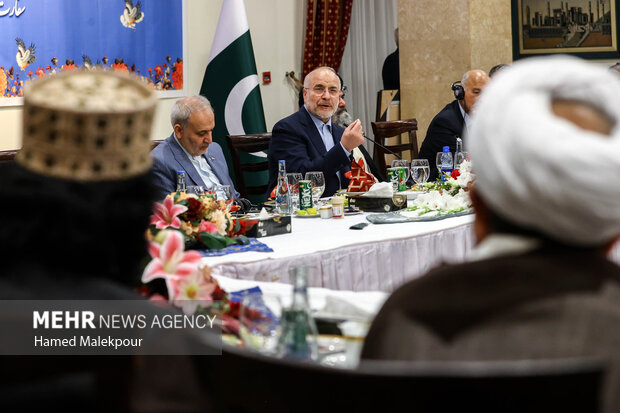 دومین روز سفر رئیس مجلس به کشور پاکستان 24