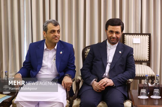 دومین روز سفر رئیس مجلس به کشور پاکستان 6