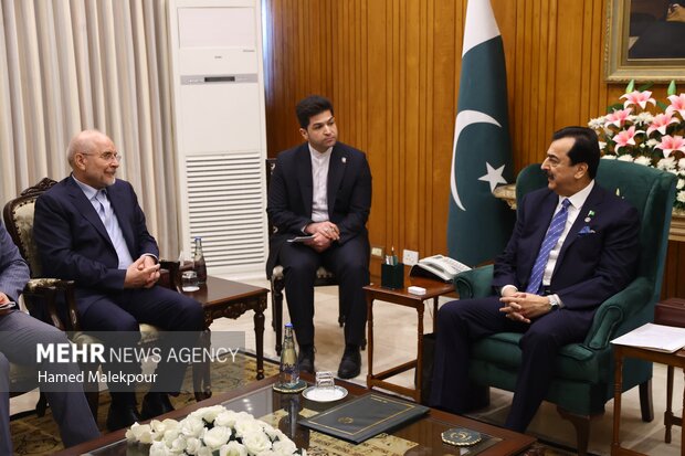 دومین روز سفر رئیس مجلس به کشور پاکستان