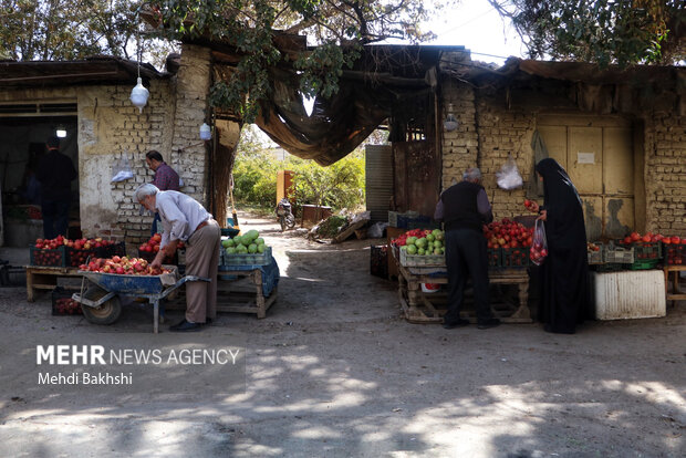 انارچینی در باغ تاریخی ۲۰۰ ساله قم