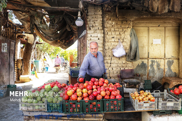 انارچینی در باغ تاریخی ۲۰۰ ساله قم
