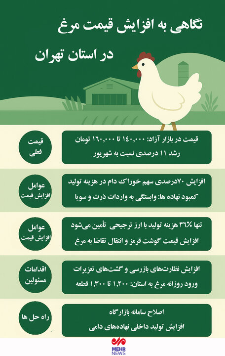 اینفوگرافیک؛ نگاهی به افزایش قیمت مرغ و عوامل آن در استان تهران