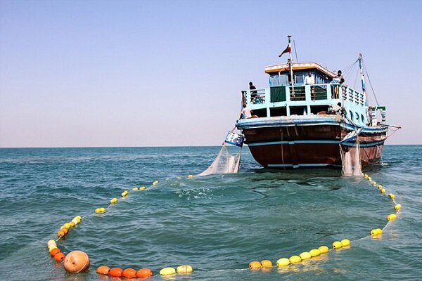 چابهار در مسیر تبدیل به قطب شیلات مدرن و مکانیزه کشور