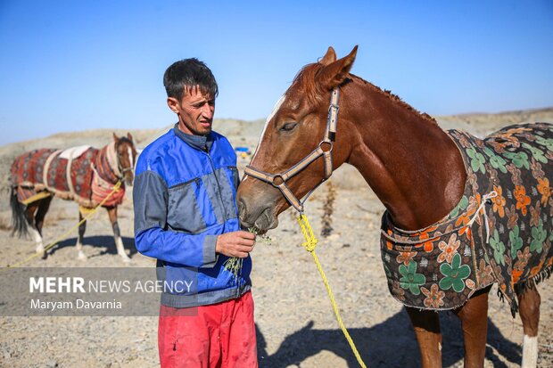 کورس اسبدوانی پاییزه روستای باغلق