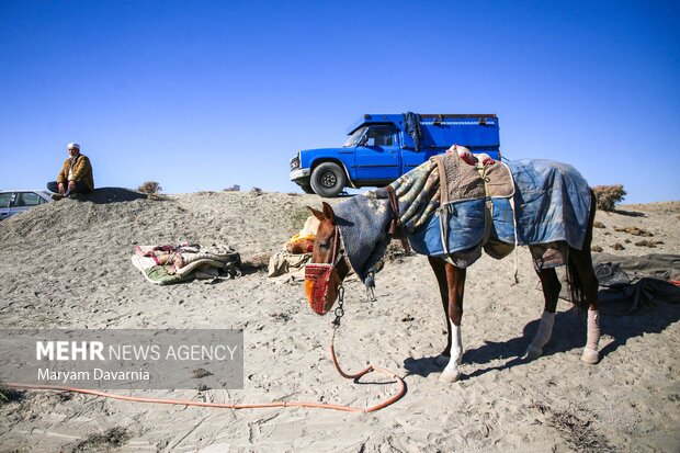 کورس اسبدوانی پاییزه روستای باغلق