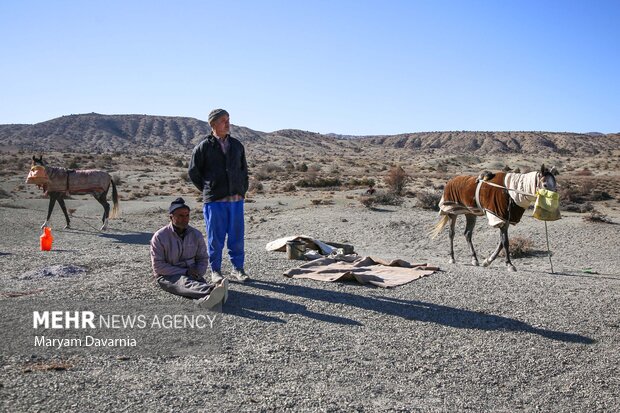 کورس اسبدوانی پاییزه روستای باغلق