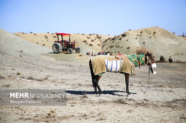 کورس اسبدوانی پاییزه روستای باغلق