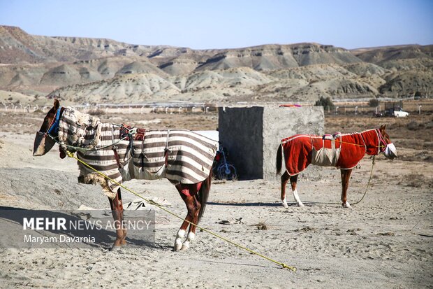 کورس اسبدوانی پاییزه روستای باغلق
