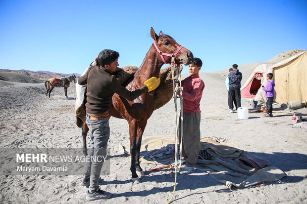 کورس اسبدوانی پاییزه روستای باغلق