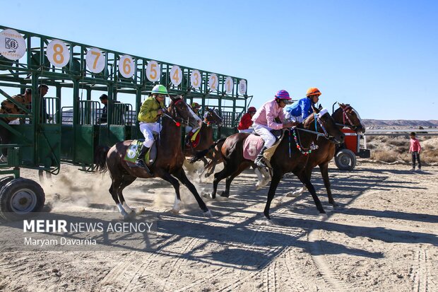 کورس اسبدوانی پاییزه روستای باغلق