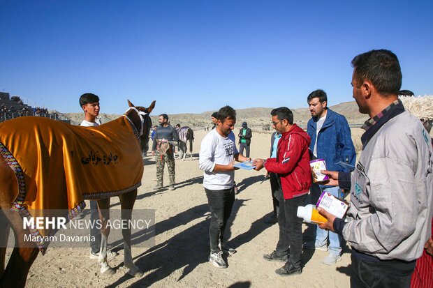 کورس اسبدوانی پاییزه روستای باغلق