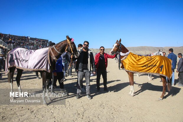 کورس اسبدوانی پاییزه روستای باغلق