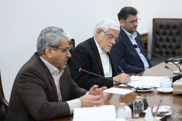 عارف: باید هم اقتدار دولت حفظ شود و هم مطالبات مردم دنبال شود